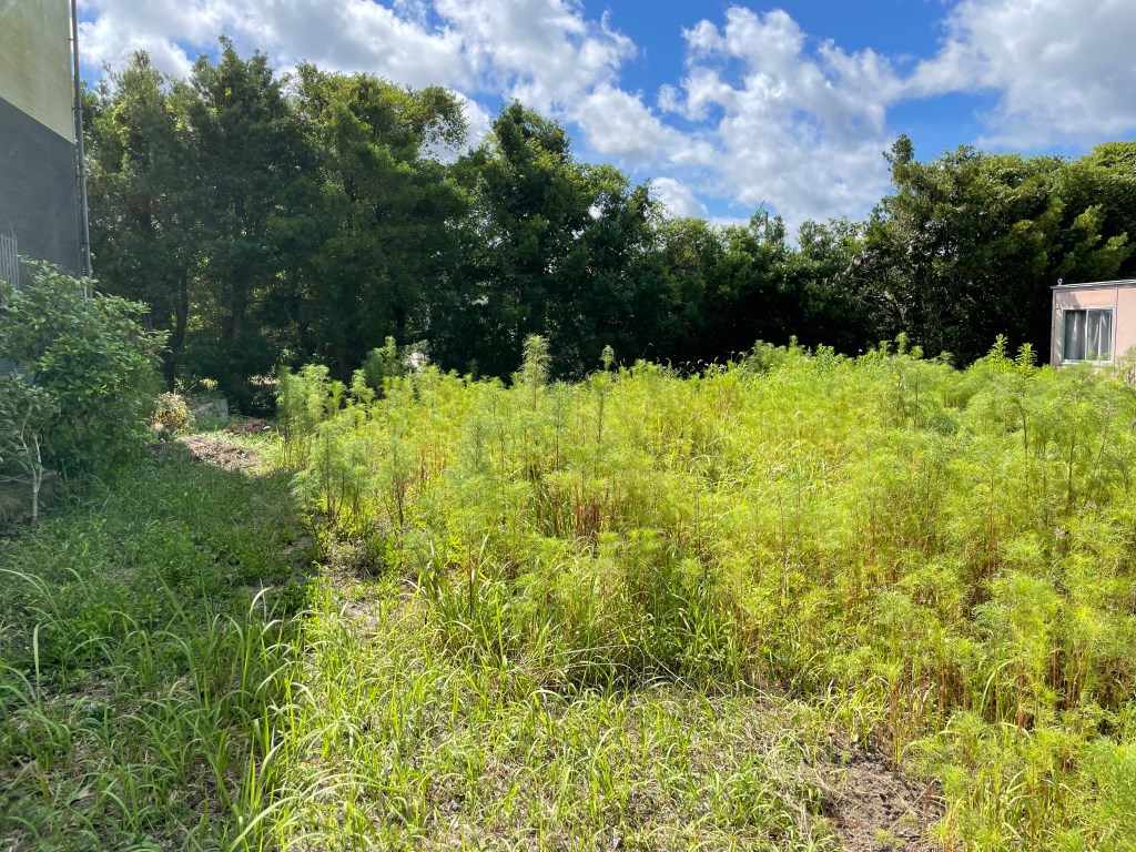 土地：御前崎市池新田480万円